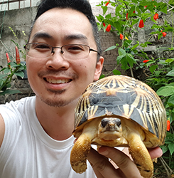 Taking Care of Tortoises in the Philippines