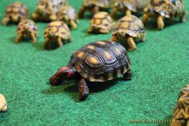 tortoise replica