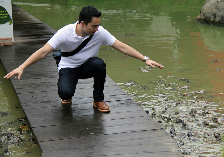 Live Turtle and Tortoise Museum in Singapore