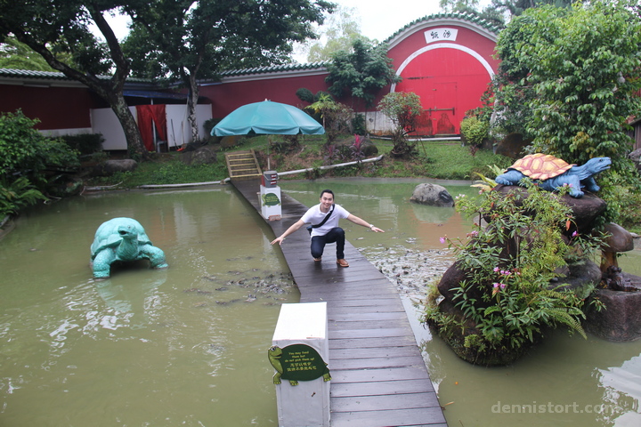 Live Turtle and Tortoise Museum in Singapore