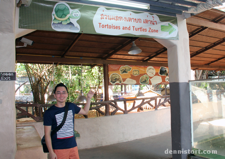 Tortoises in Dusit Zoo, Bangkok Thailand