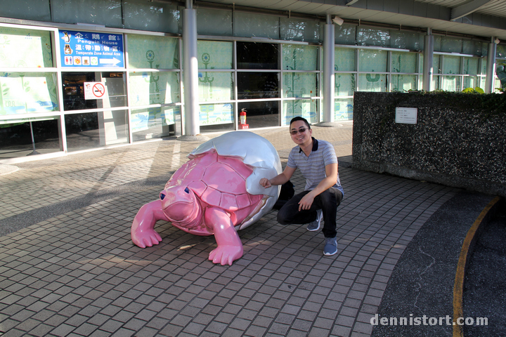 Tortoises in Taipei Zoo